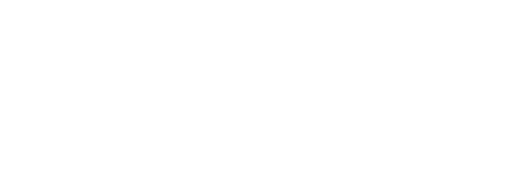 Stallion Finance Logo